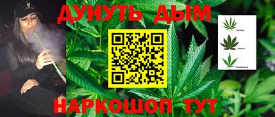 индика Кунгур