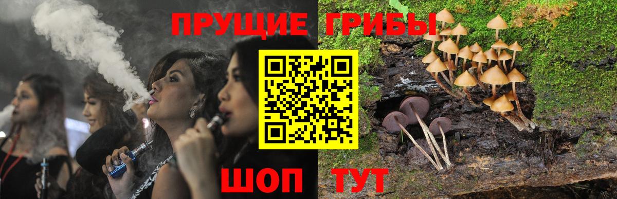 Канаш  Галлюциногенные грибы прущие грибы  где купить наркоту  Вход с VPN  Псилоцибиновые грибы Cubensis 